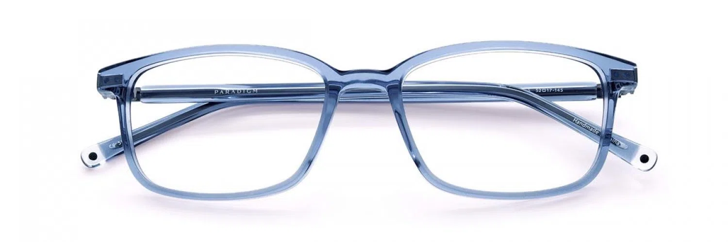 Paradigm 21-08 Eyeglasses - view 3